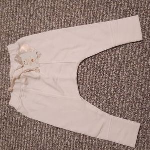 NWT Kate Quinn panda pants